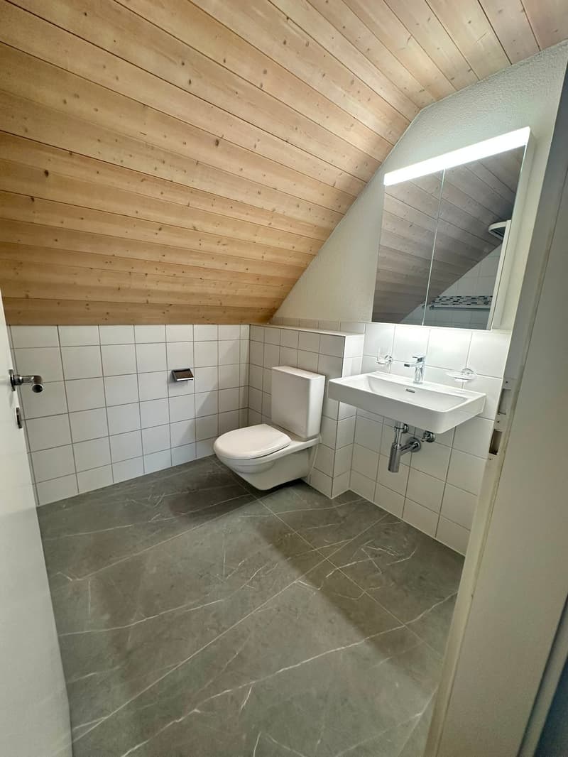 Renovierte 3.5-Zimmer-Dachwohnung - neue Küche (17)