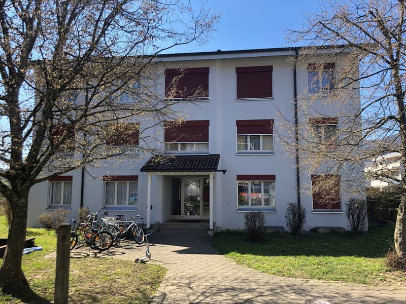 Schöne, grosszügige 3.5 Zimmer Wohnung mit neuer Küche (1)