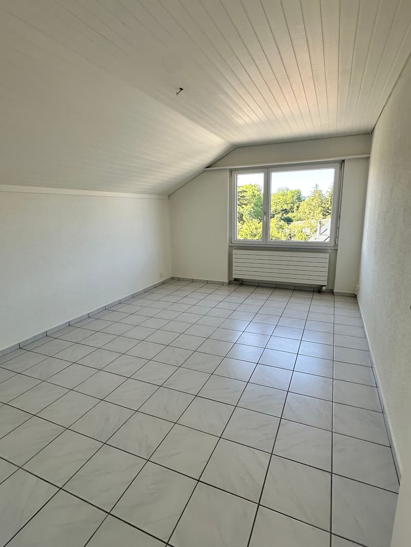 Grosszügige 3.5 Zimmer Dachgeschosswohnung (3)