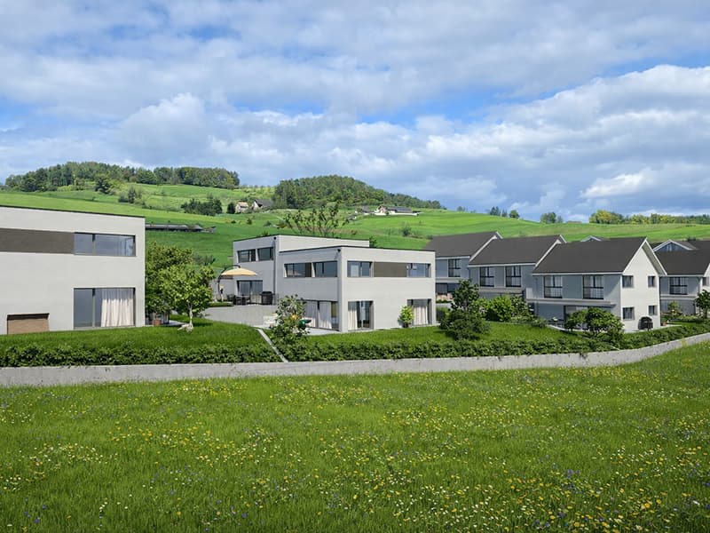 Modern white house with gray roofs, nestled in a lush green field with a picturesque view of the hills in the background