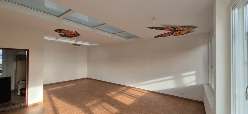 Charming 7.5-room single-family house in a quiet location in Bubendorf (20)