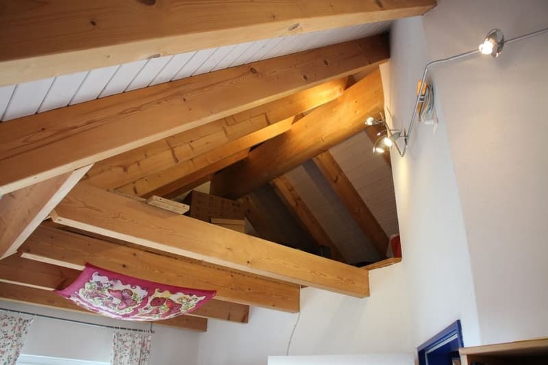 Charming 7.5-room single-family house in a quiet location in Bubendorf (17)