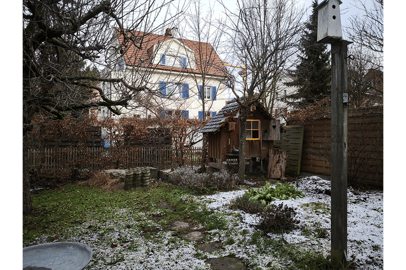 garden with snow, wooden shed, birdhouse, green plants, wooden fence