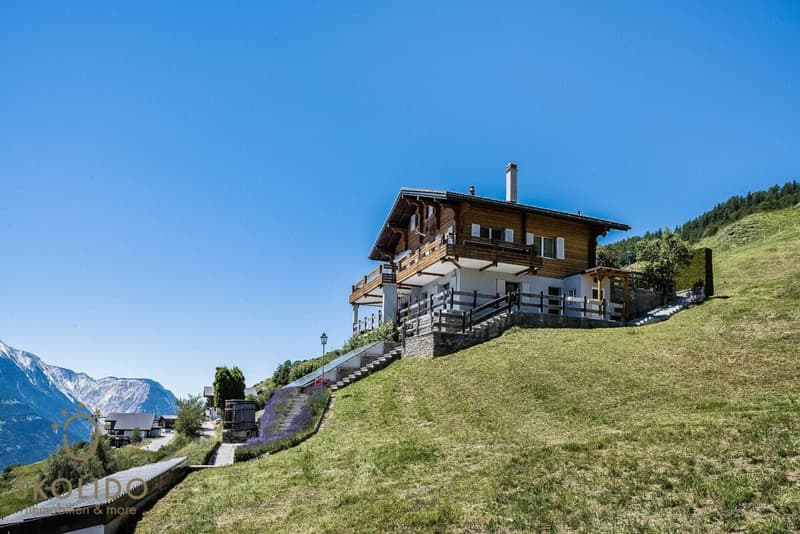 Chalet modernisé avec appartement indépendant et vue panoramique (32)