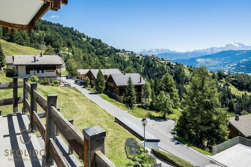 Chalet modernisé avec appartement indépendant et vue panoramique (28)