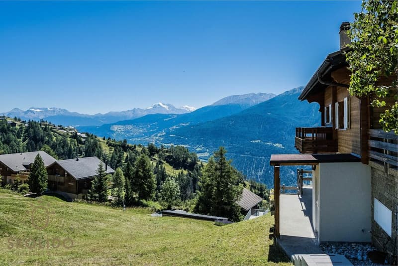 Chalet modernisé avec appartement indépendant et vue panoramique (29)