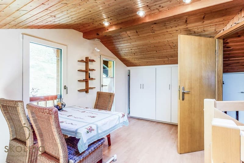 Chalet modernisé avec appartement indépendant et vue panoramique (14)