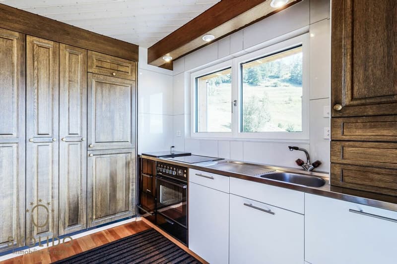 Chalet modernisé avec appartement indépendant et vue panoramique (12)