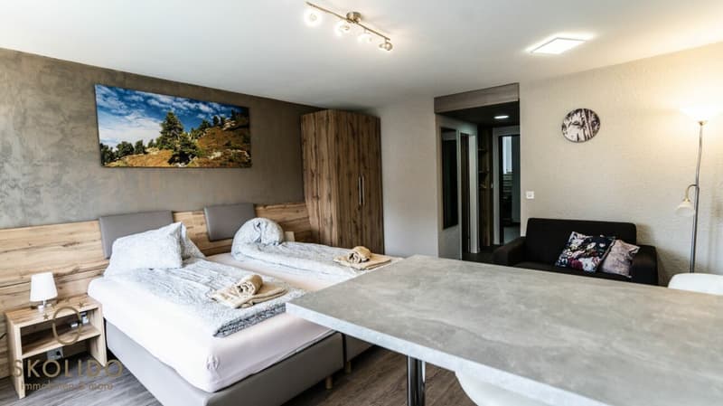 Studio moderne avec vue panoramique (7)