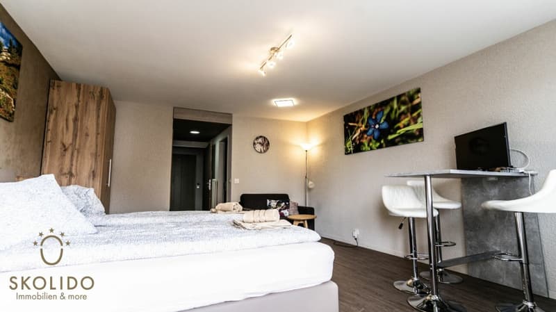 Studio moderne avec vue panoramique (6)