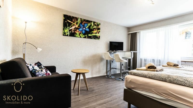 Studio moderne avec vue panoramique (5)