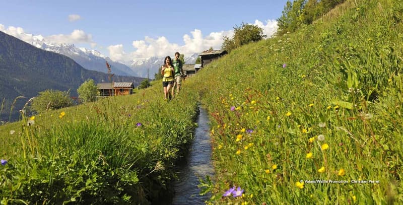 Magasin de village, grand restaurant avec terrasse, appartement en duplex, garages et terrain à bâtir au coeur de Mund (52)
