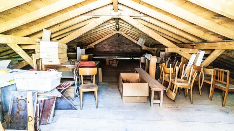 Magasin de village, grand restaurant avec terrasse, appartement en duplex, garages et terrain à bâtir au coeur de Mund (39)