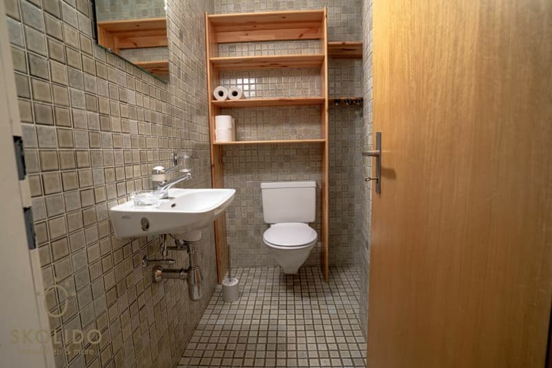 4.5-Room Apartment in Fiesch with a Stunning Terrace (12)
