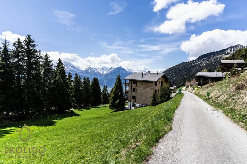 Grosses Studio-Apartment mit unverbaubarem Weitblick in der Aletscharena (17)