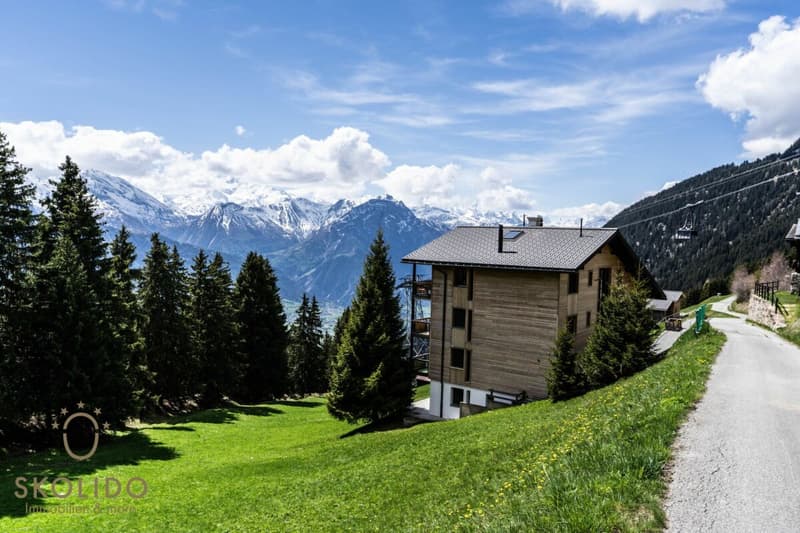 Grosses Studio-Apartment mit unverbaubarem Weitblick in der Aletscharena (2)