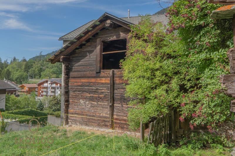 Walliser Stadel - Fiesch (3)