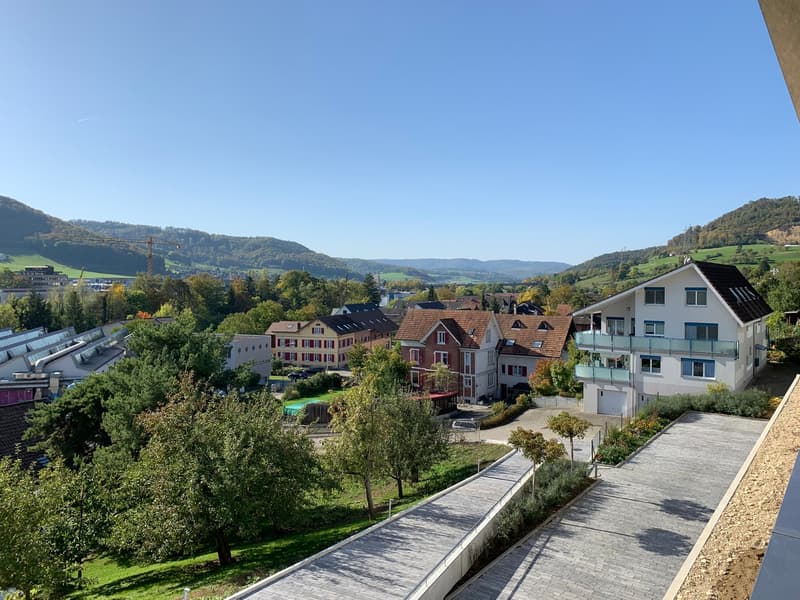 Modernes Wohnen am Sonnenhang von Sissach mit unverbaubarer Fernsicht (4)