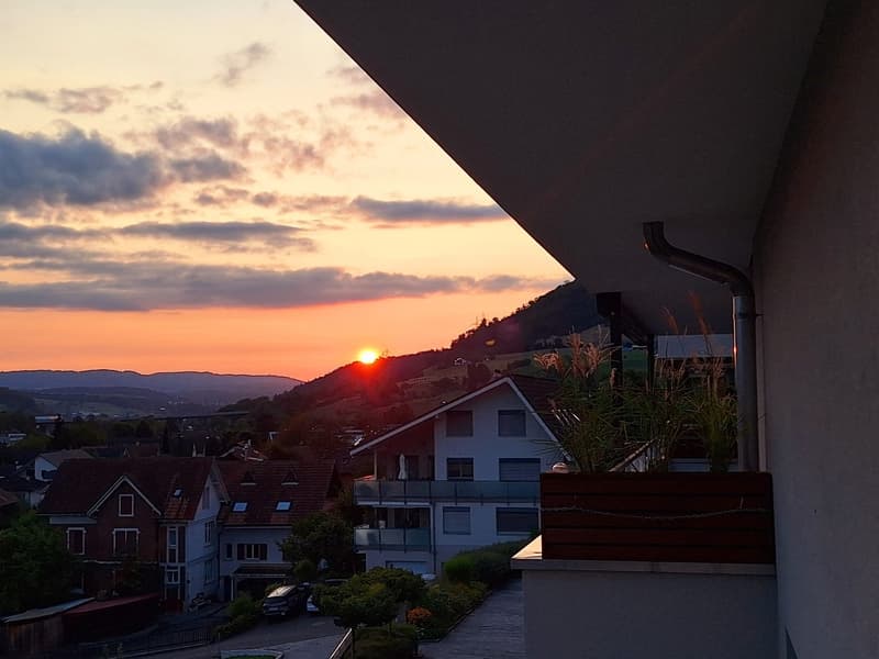 Modernes Wohnen am Sonnenhang von Sissach mit unverbaubarer Fernsicht (1)