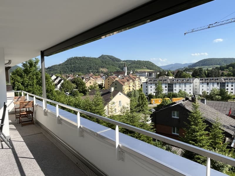 Modernes Wohnen am Sonnenhang von Sissach mit unverbaubarer Fernsicht (3)