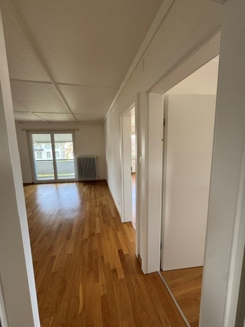 Appartamento di 3 camere in una posizione tranquilla e centrale (3)
