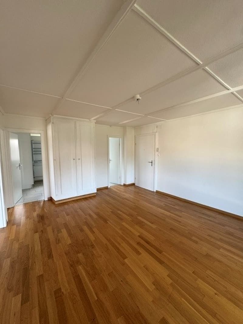 Appartamento di 3 camere in una posizione tranquilla e centrale (1)