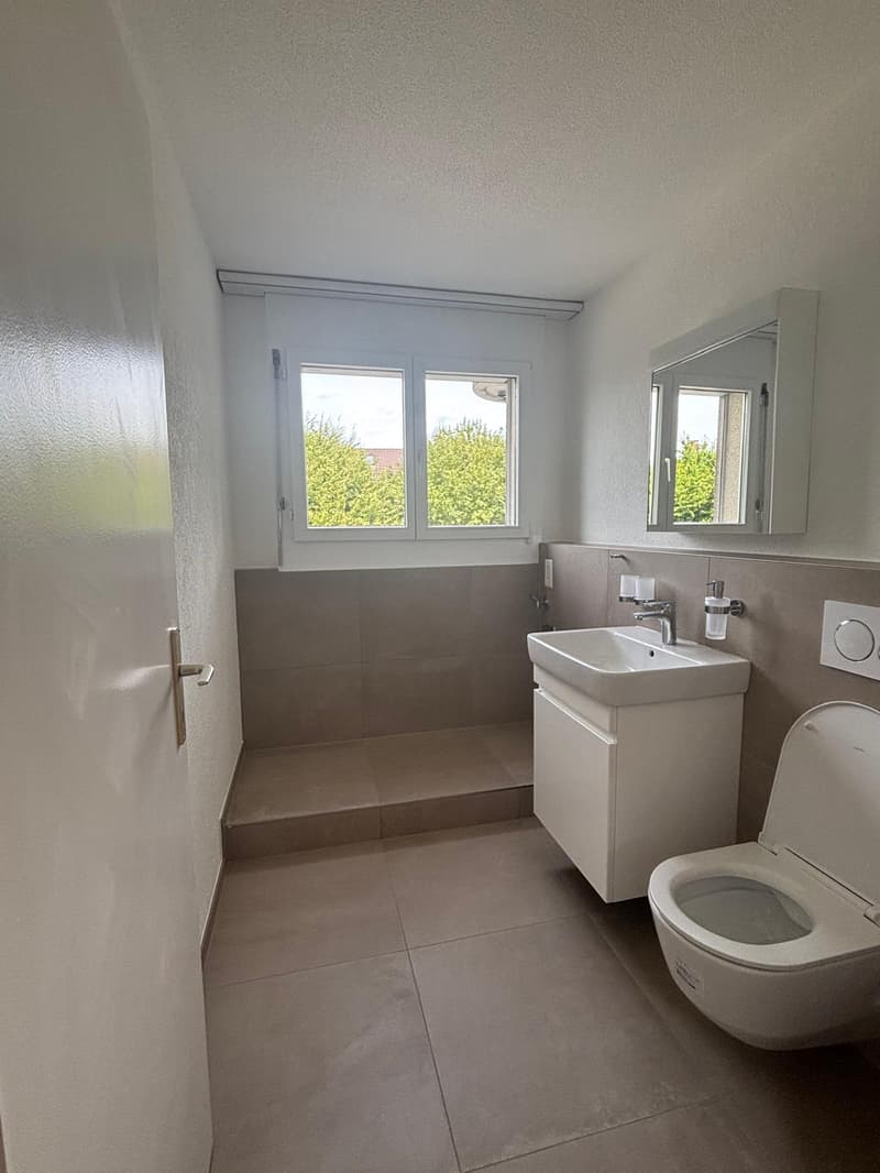 Renovated 3.5-room apartment in Biberist (8)