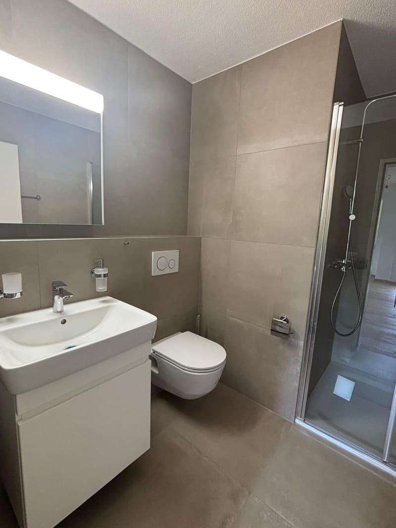 Renovated 3.5-room apartment in Biberist (7)