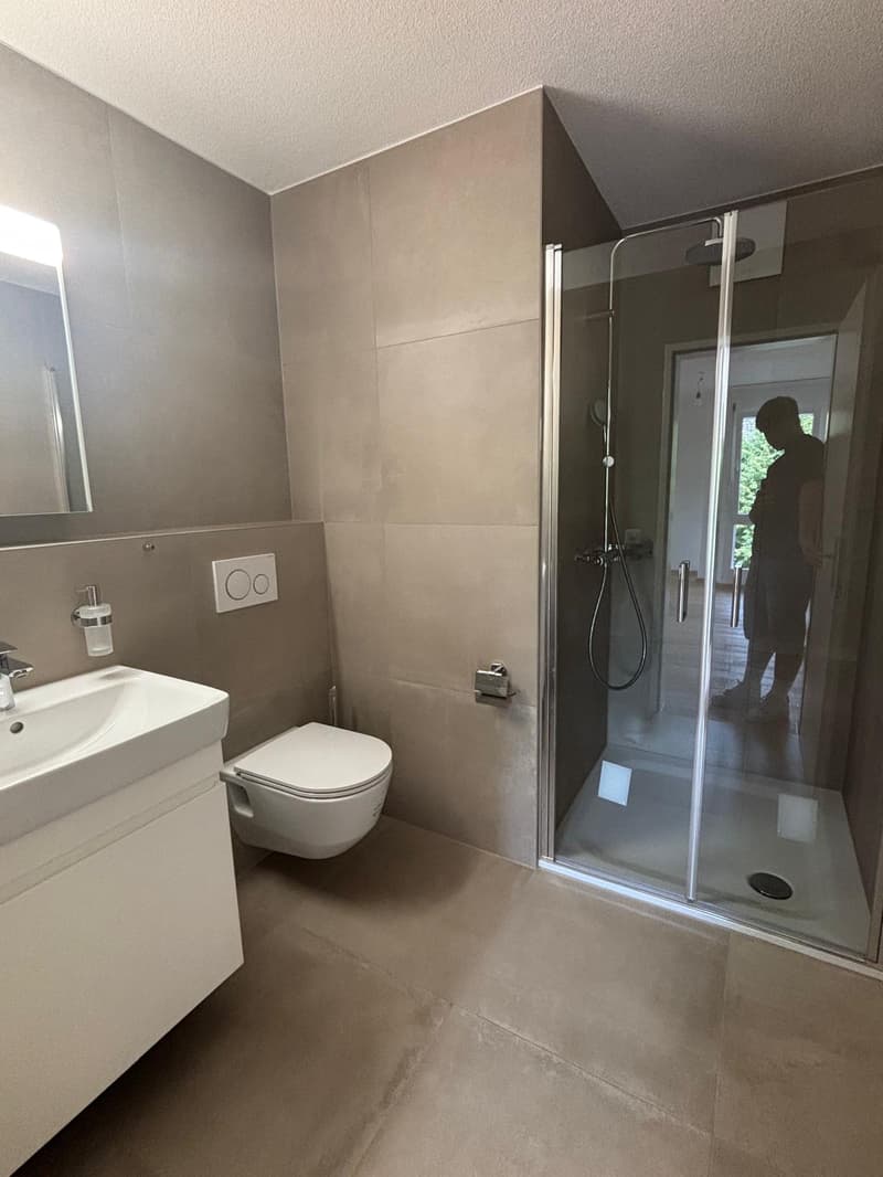Renovated 3.5-room apartment in Biberist (6)
