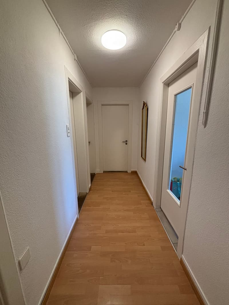 3 1/2 Zimmerwohnung im Zentrum (4)