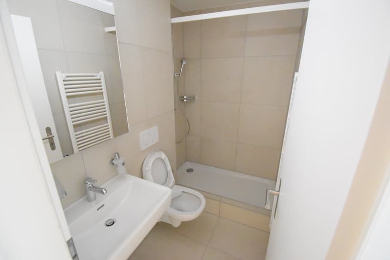 Gemütliche 2.5-Zimmer-Wohnung im 3. OG an zentraler Lage in Solothurn (3)