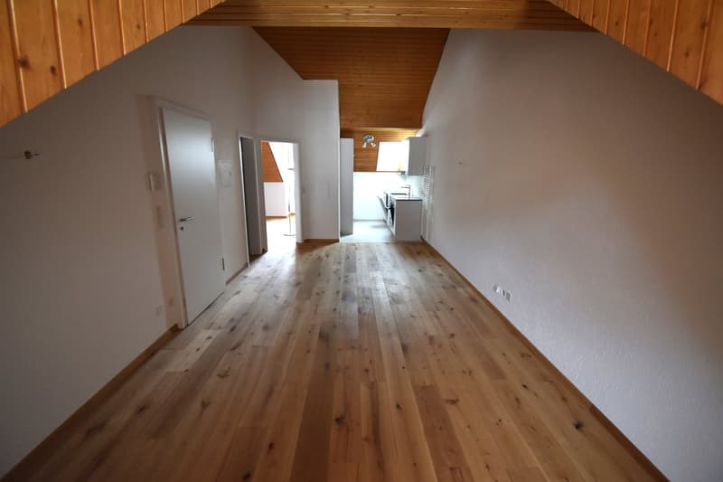 Gemütliche 2.5-Zimmer-Wohnung im 3. OG an zentraler Lage in Solothurn (1)