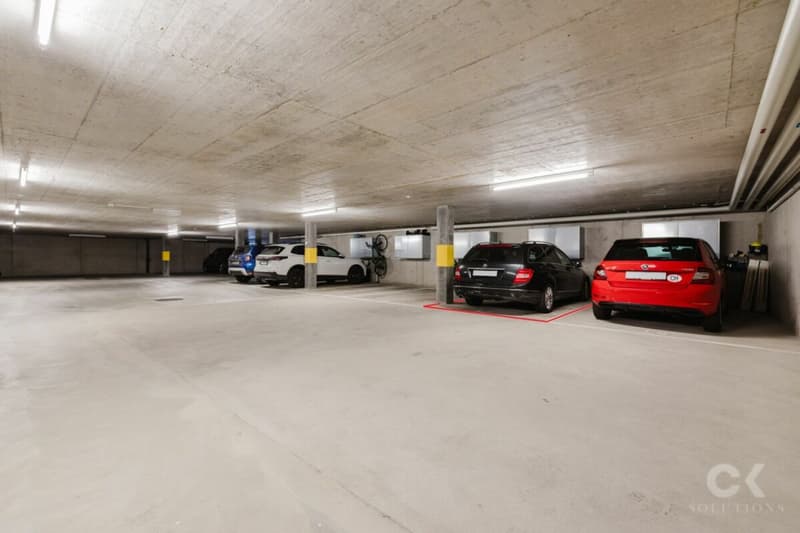 Moderne Minergie-Wohnung mit Gartenidylle an zentraler Lage (15)