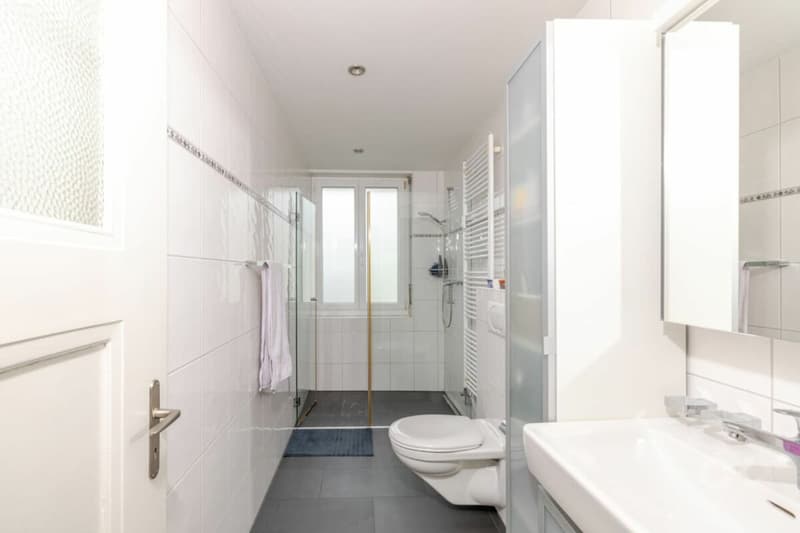 Bright rooms, well-thought-out layout, your new home! (11)