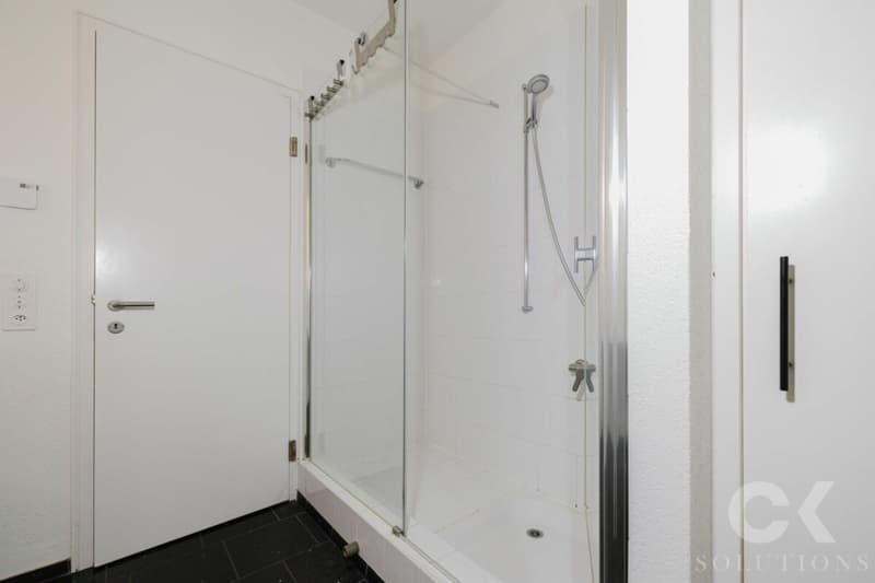Spacious 5-room garden apartment in Oberwil - living with style, space, and nature (10)