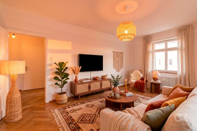 3-room gem with investment potential (3)