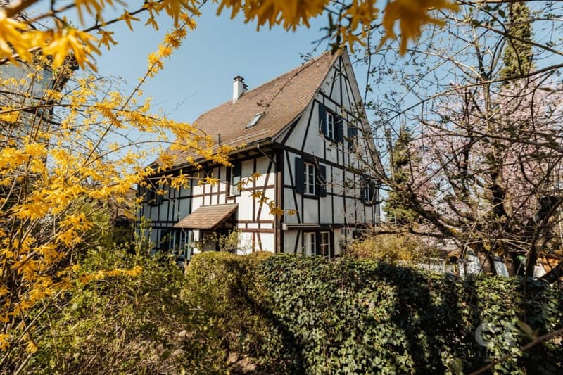 Charmantes Riegelhaus voller Charakter - Ihr Zuhause zum Wohlfühlen (1)