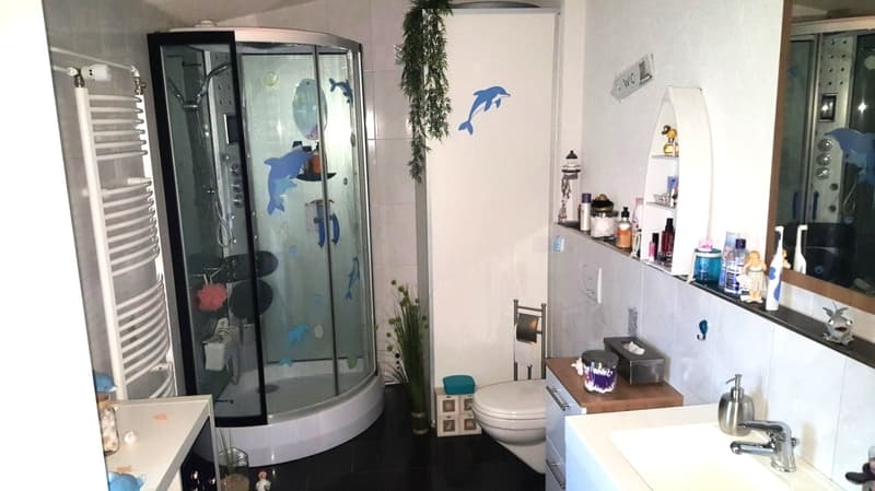 The image shows a bathroom with a glass shower cabin, a toilet, a vanity unit with a sink, and various bathroom accessories and decorations such as plants and figurines. The walls are decorated with dolphin-themed artwork.