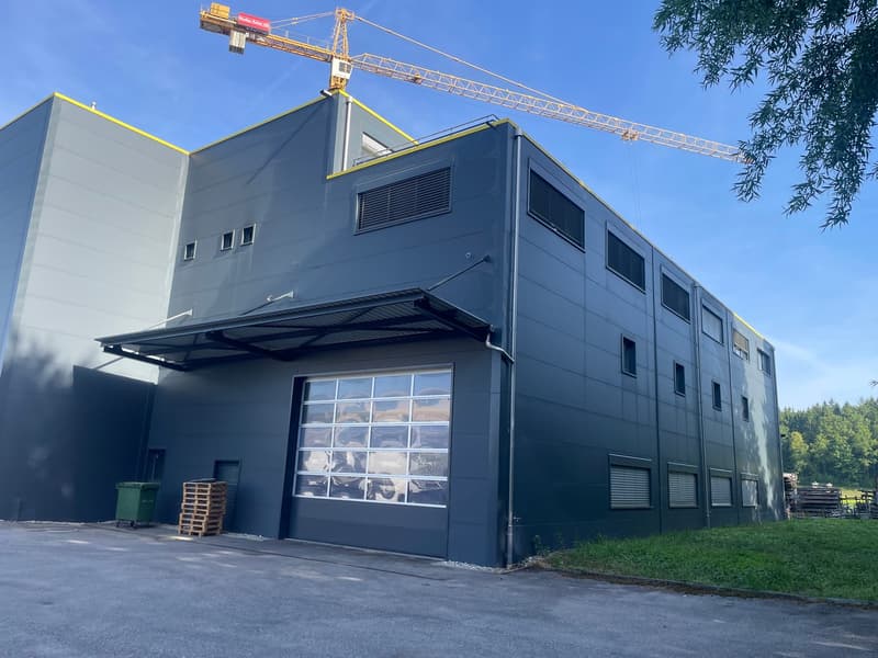 Capannone Industriale e Commerciale in Affitto a Bannwil (2)