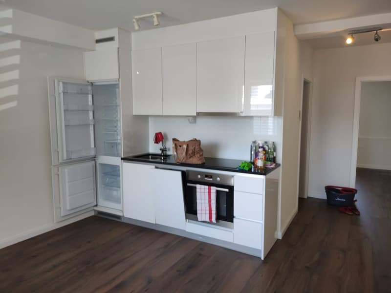 Appartement 2 pièces près de l'hôpital cantonal d'Olten (6)