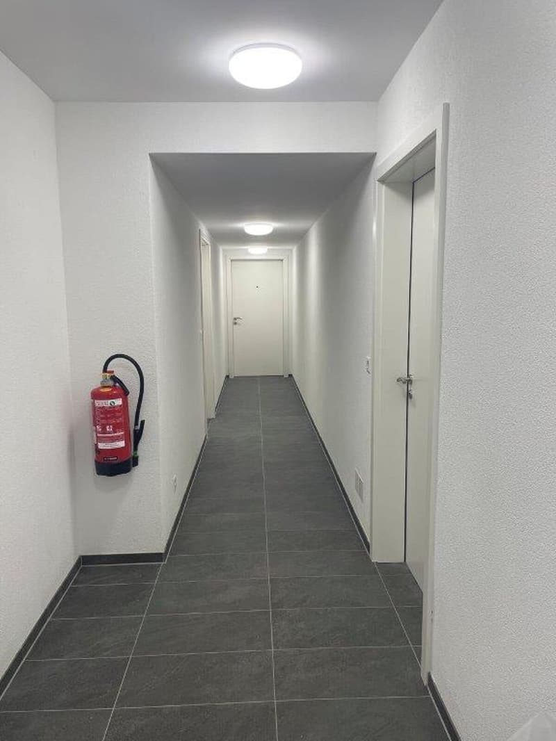 Appartement 2 pièces près de l'hôpital cantonal d'Olten (2)