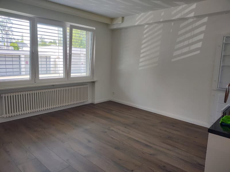 Appartement 2 pièces près de l'hôpital cantonal d'Olten (4)