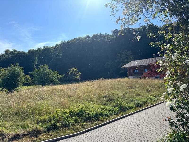 Projet de construction neuve : Votre nouvelle maison dans un lieu idyllique (2)