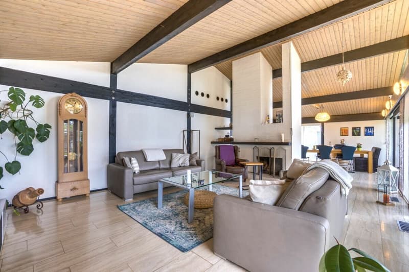 Casa unifamiliare di 6,5 locali con garage molto grande (4)