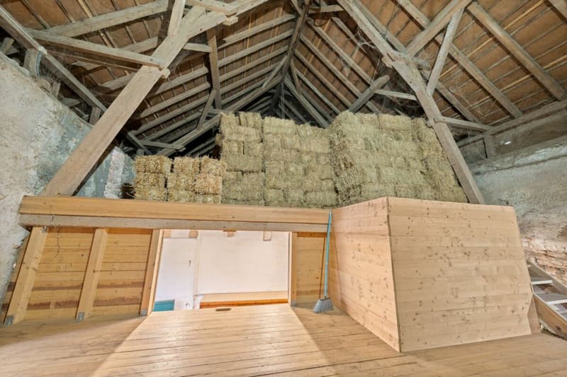 Im riesigen Heustock finden auf 3 Ebenen mit 34m2, 28m2 und 40m2 mind. 900 Kleinballen Platz. Zusätzlich ist ein Pelletsilo mit direktem Ablauf eingebaut.
