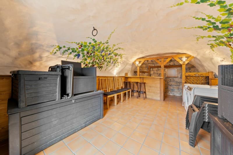 Der ausgebaute Partykeller bietet ein einzigartiges Ambiente und verfügt über eine Bar und einen Geschirrspüler mit Waschbecken.