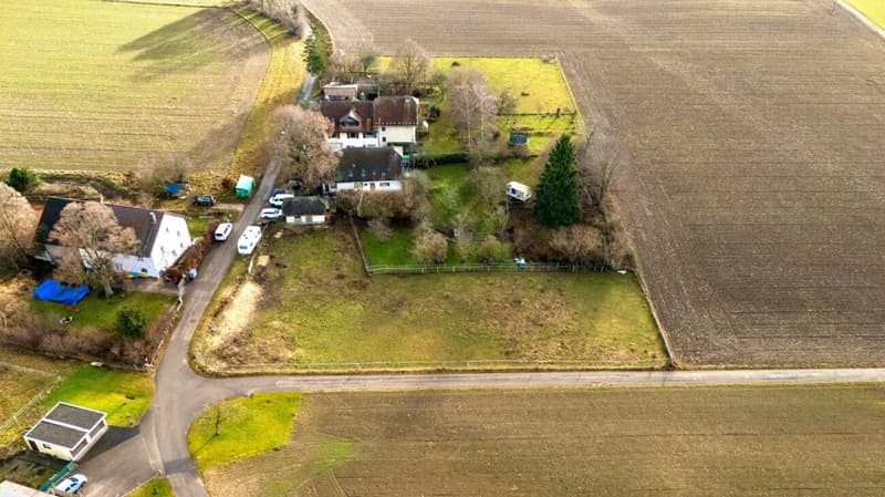 Maison bifamiliale avec grand terrain (1)