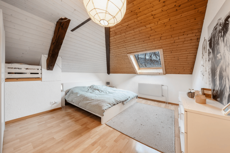 Maison bifamiliale avec grand terrain (10)