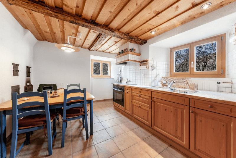 Maison bifamiliale avec grand terrain (7)