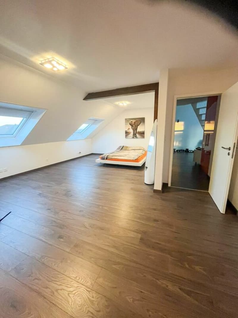Modern living with gallery and wellness extras in Kriegstetten (7)